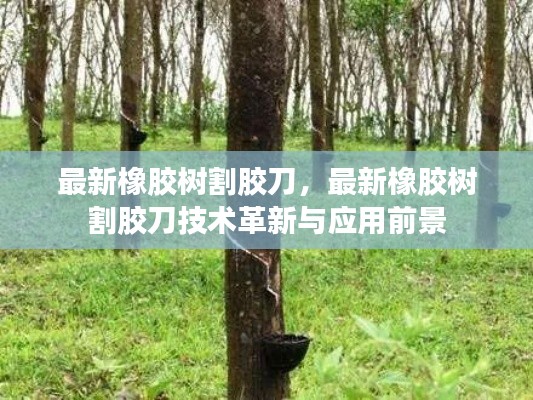 最新橡胶树割胶刀技术革新及应用前景展望