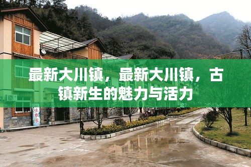 大川镇的新生魅力与活力绽放