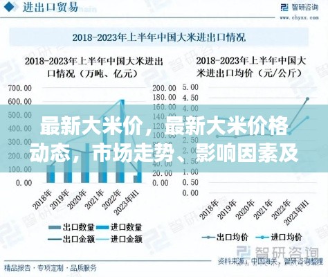 最新大米价格动态，市场走势、影响因素与未来预测分析