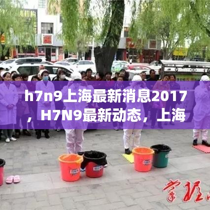 H7N9疫情最新动态，上海地区防控进展报告与疫情分析（2017年）