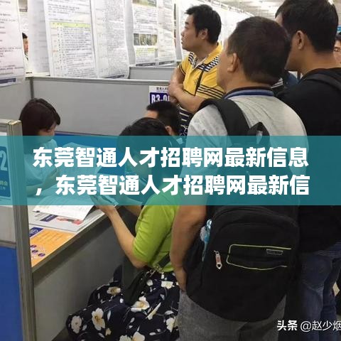 东莞智通人才招聘网最新信息及职场动态，求职策略与新动向概览