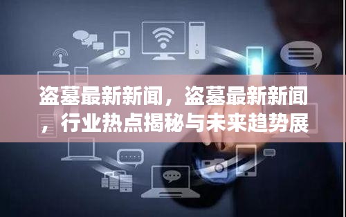 揭秘盗墓行业热点，最新动态与未来趋势展望
