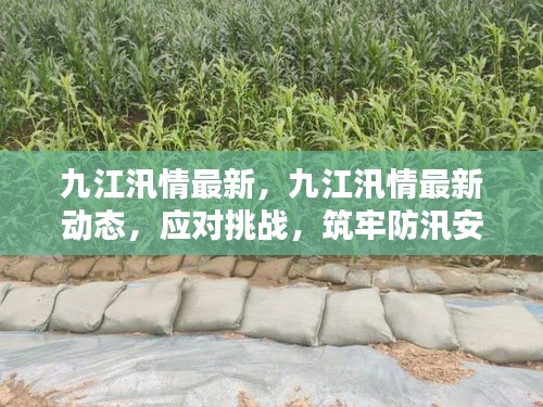 九江汛情最新动态，应对挑战，筑牢防汛安全线