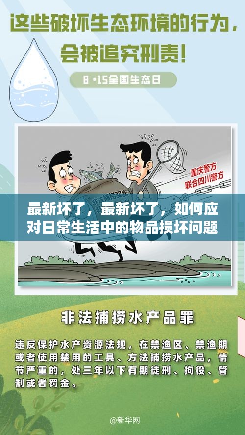 应对日常物品损坏问题的实用指南