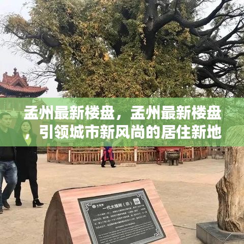 孟州最新楼盘，引领城市新风尚的居住地标