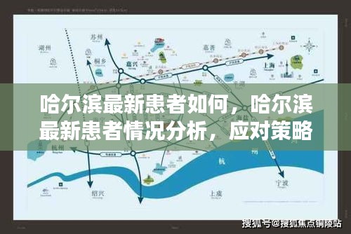 哈尔滨最新患者情况分析，现状、应对策略与公众应对之道