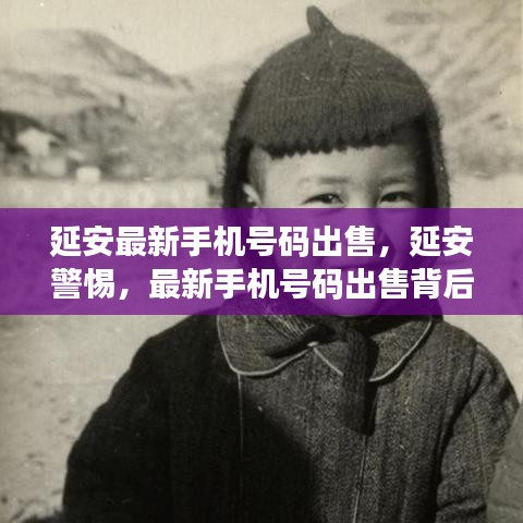 延安警惕，手机号码出售背后的风险与法规须知