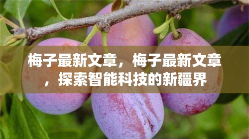 梅子最新文章，探索智能科技的新疆界