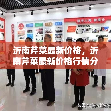 沂南芹菜最新价格及行情分析
