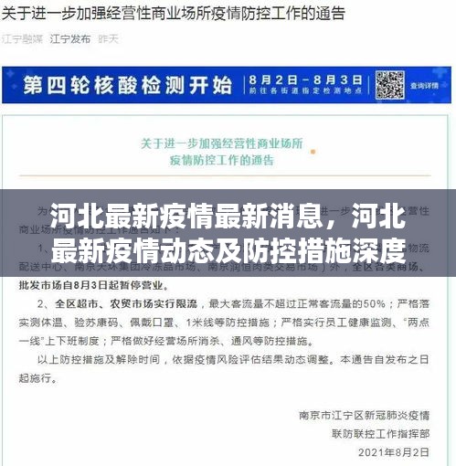 河北最新疫情动态解析，最新消息与防控措施深度探讨