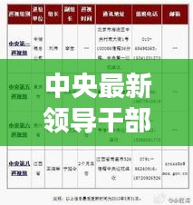 中央新时代领航者阵容亮相，领导干部名单及使命展望