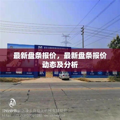 最新盘条报价动态、行情分析与解读