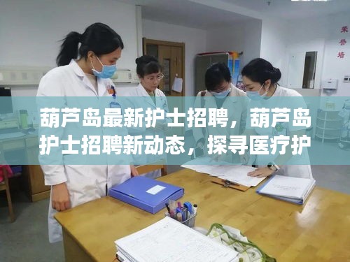 葫芦岛护士招聘最新动态，探寻医疗护理人才的新起点