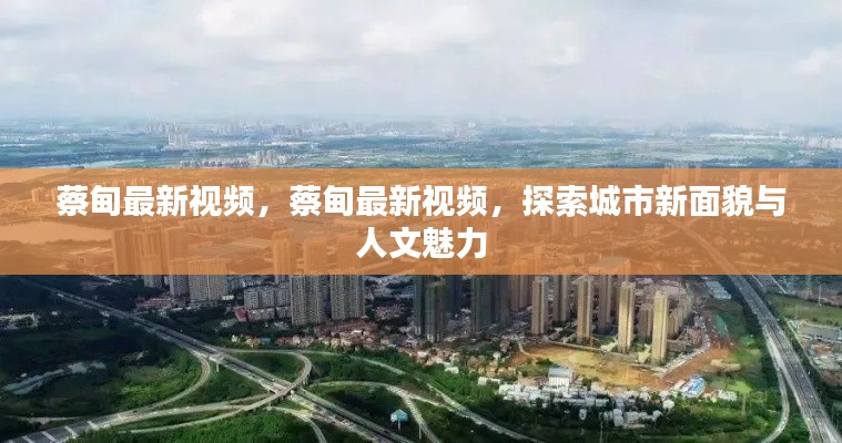 蔡甸最新视频探索，城市新面貌与人文魅力展现