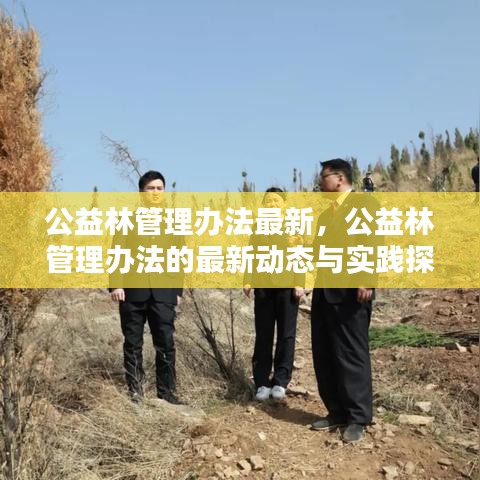 公益林管理办法最新动态与实施探索，实践中的变革与发展