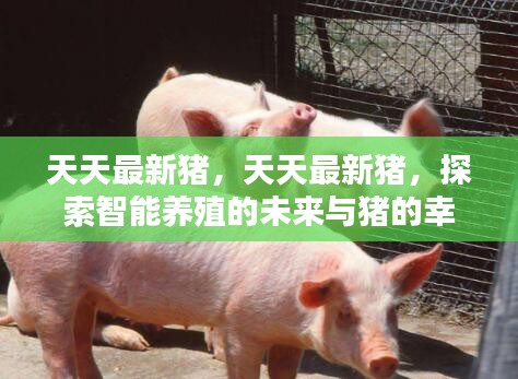 智能养殖新篇章，猪的幸福生活与未来探索之路