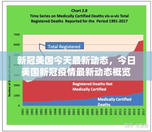 今日美国新冠疫情最新动态更新概览