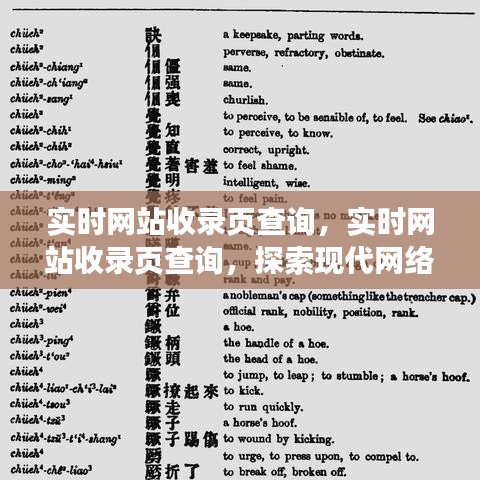 实时网站收录页查询，探索现代网络检索的新领域