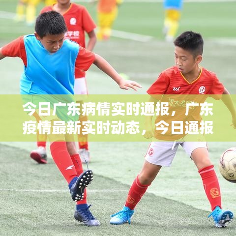 广东疫情最新实时动态及深度解析，今日通报与防控措施聚焦