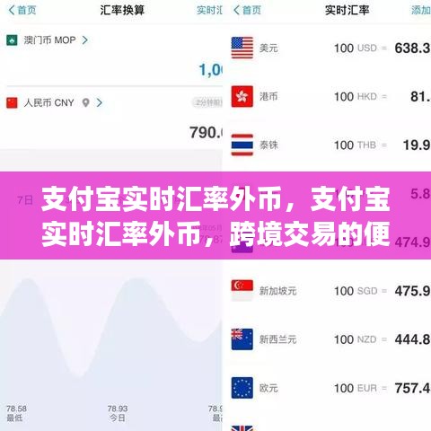 支付宝实时汇率外币，跨境交易的便捷之选