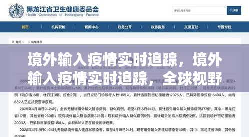 全球视野下的境外输入疫情实时追踪，防控挑战与应对策略