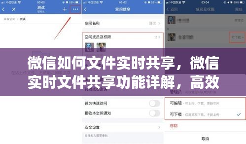 微信实时文件共享功能详解，高效协作的新时代工具，轻松实现文件实时共享