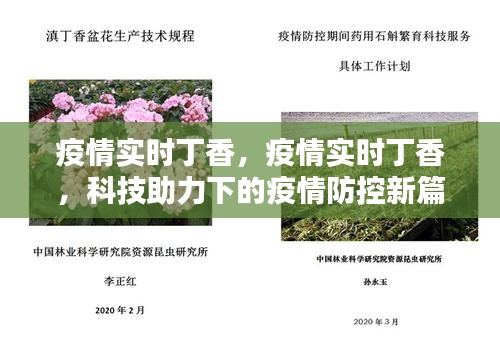 科技助力下的疫情防控新篇章，疫情实时丁香动态监测数据报告