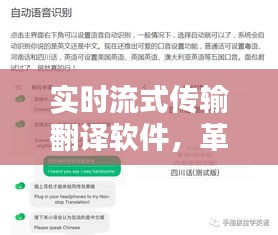 实时流式传输翻译软件，革新沟通方式，助力全球化进程加速