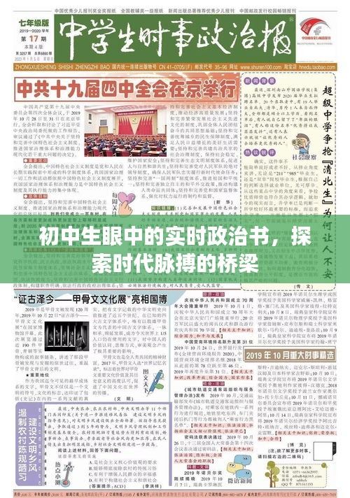 初中生视角下的实时政治书，探索时代脉搏的桥梁