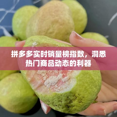 拼多多实时销量榜指数，热门商品风向标