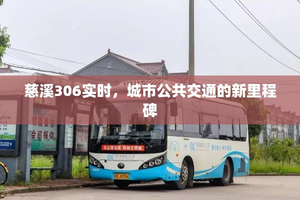 慈溪306实时，城市公共交通新里程碑的启示