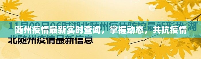 随州疫情最新动态实时更新，共同抗击疫情