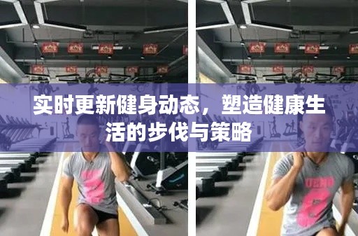 实时更新健身动态，塑造健康生活步伐的策略指南