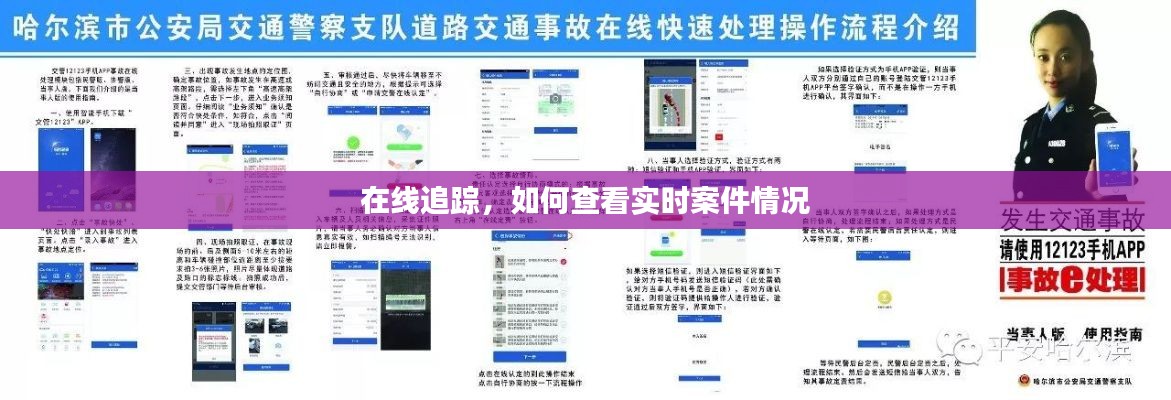 在线追踪，实时案件情况查看指南