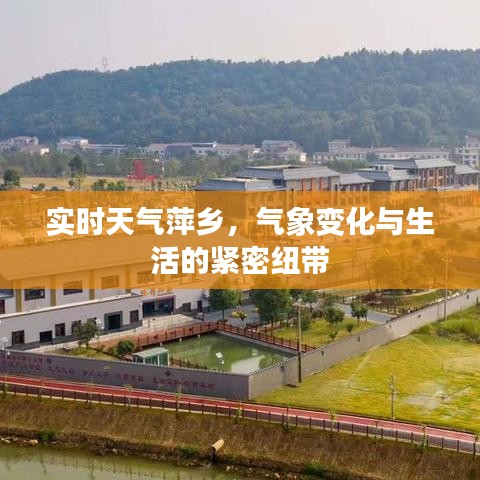 萍乡实时天气，气象变化与生活紧密相连的纽带关系