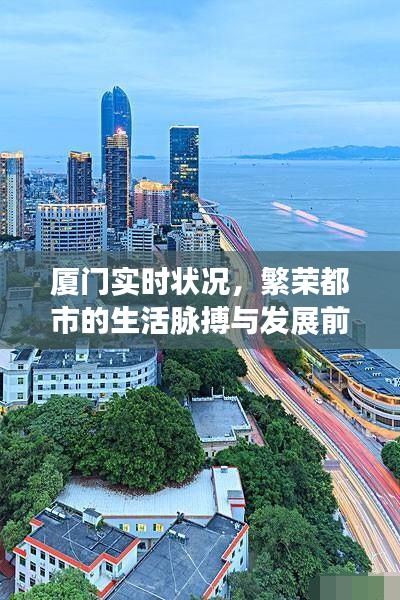 厦门繁荣都市，生活脉搏与实时发展展望