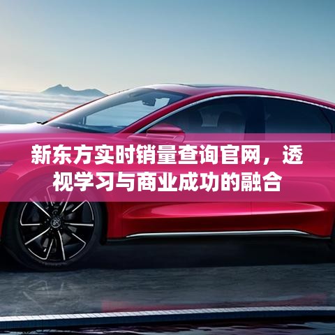 新东方实时销量查询官网，学习与商业成功的融合透视