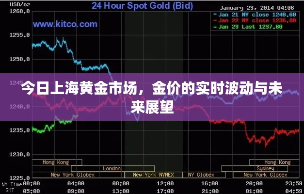 上海黄金市场今日金价波动及未来展望