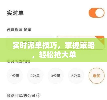 实时派单技巧，策略掌握，轻松抢大单攻略
