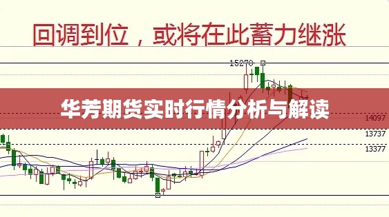 华芳期货实时行情深度分析与解读