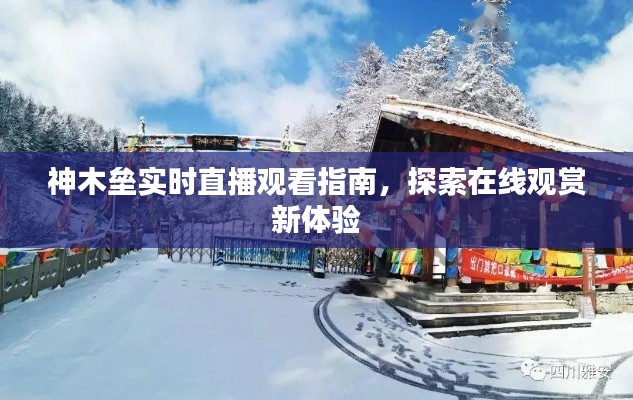 神木垒实时直播观看指南，探索在线观赏全新体验