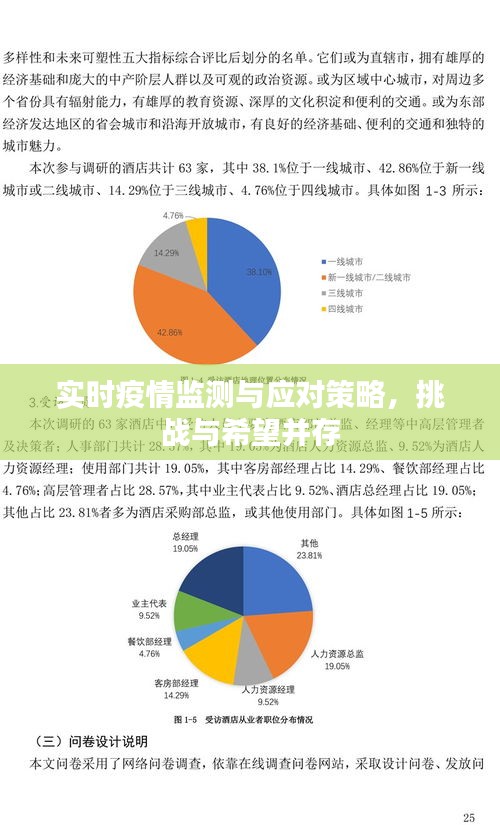 实时疫情监测与应对策略，挑战与希望的并存之路