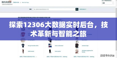 探索大数据实时后台技术革新与智能之旅，揭秘12306背后的秘密