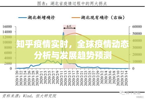 全球疫情动态分析，知乎实时更新与趋势预测