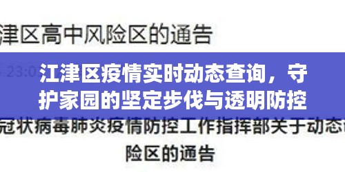 江津区疫情实时动态，守护家园的坚定步伐与透明防控措施