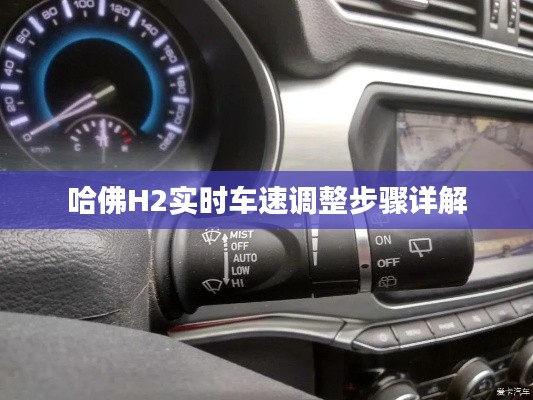 哈佛H2实时车速调整步骤指南