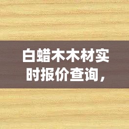 白蜡木木材实时报价及市场动态解析，洞悉价格走势，掌握市场动态资讯