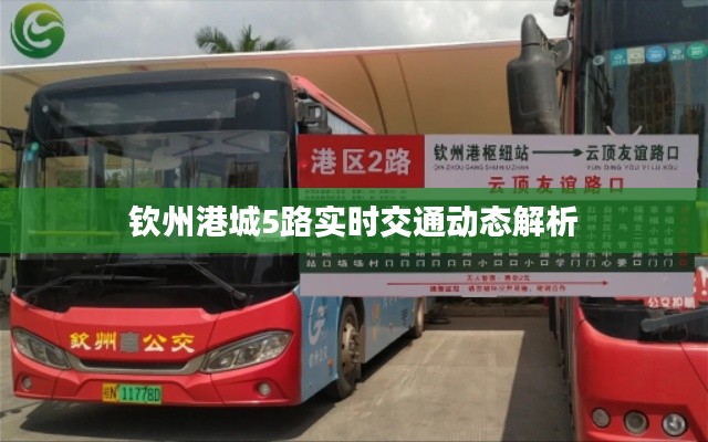 钦州港城5路实时交通动态全面解析