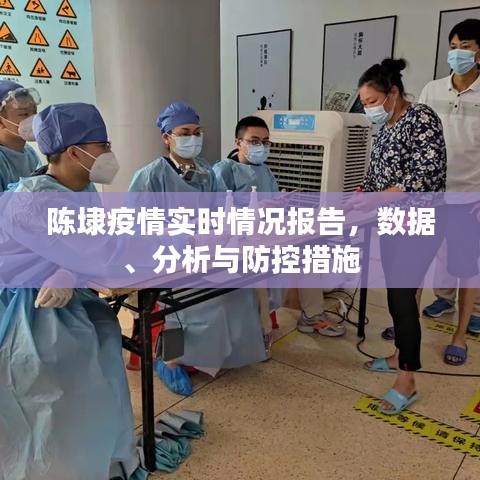 陈埭疫情实时情况报告，数据、分析与防控措施概览