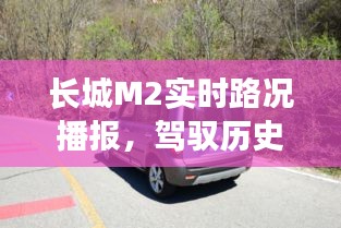 百鸟朝凤 第2页